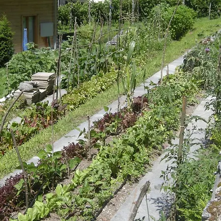 מלון Eco-hotel Cristallina Coglio